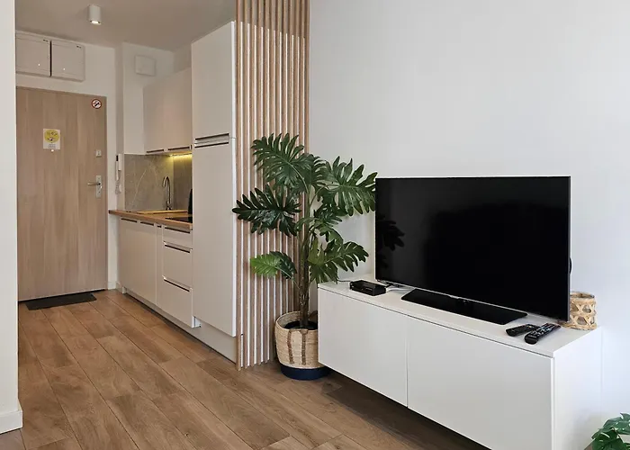 Visit Baltic - Przy Parku Chopina Matejki 17 * سفينويتشي